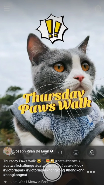 Thursday Paws Walk